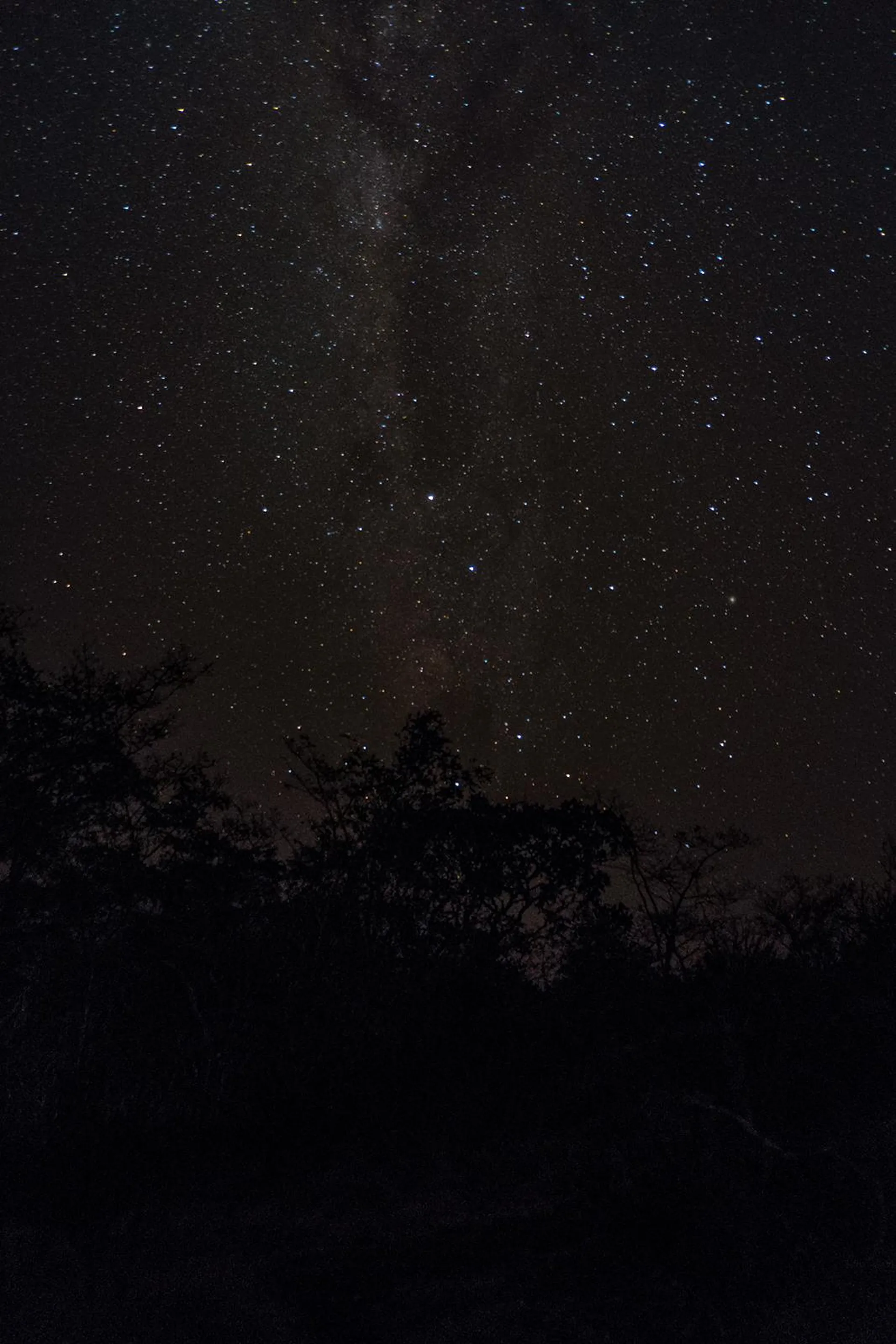 Sky Watching and Stargazing