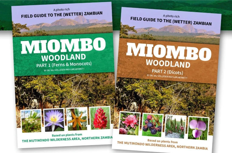 Photo-Rich Miombo Woodland Field Guide